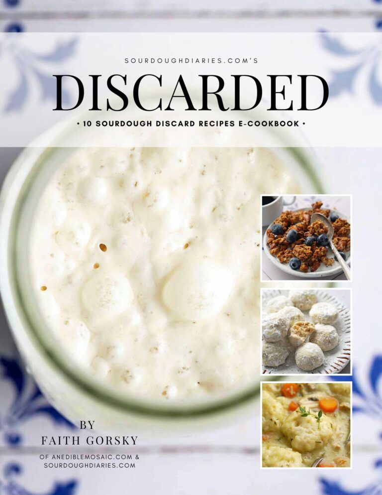 10 sourdough discard recipes ebook cover