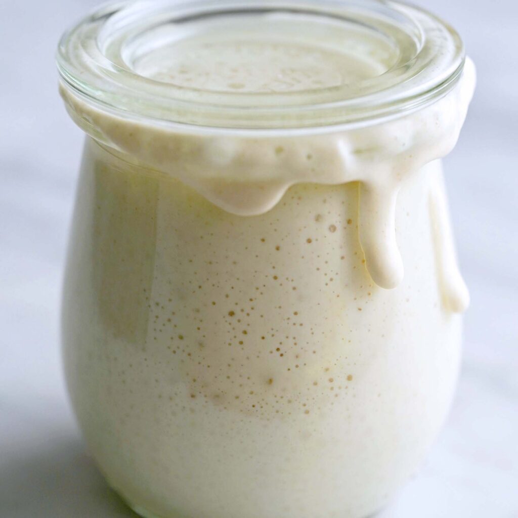 front view of glass weck jar with ripe bubbly sourdough starter