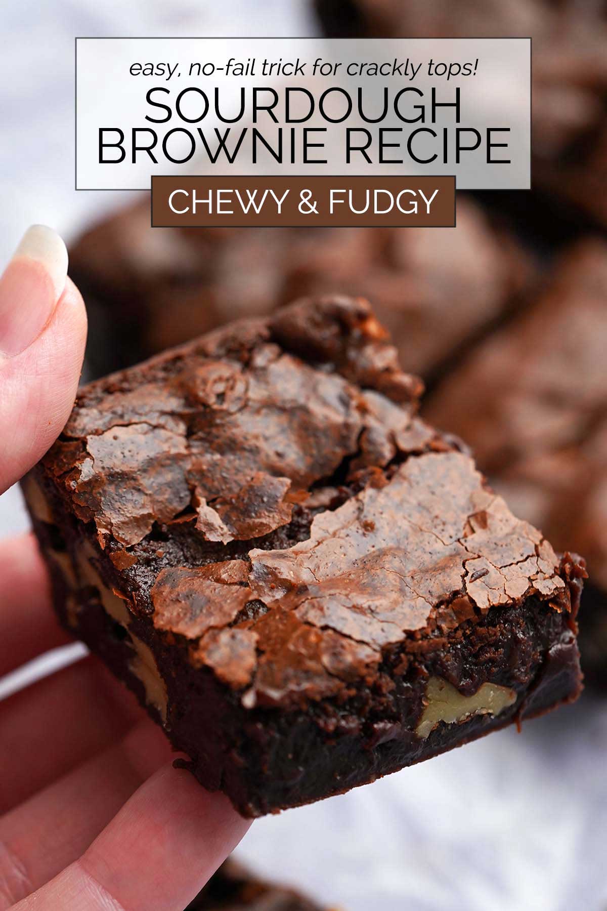 sourdough brownies recipe pin